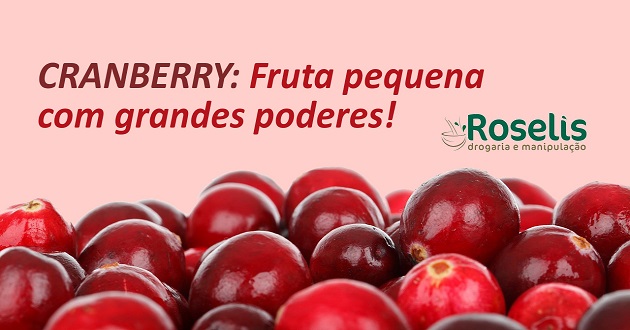 Cranberry: Fruta pequena com grandes poderes!